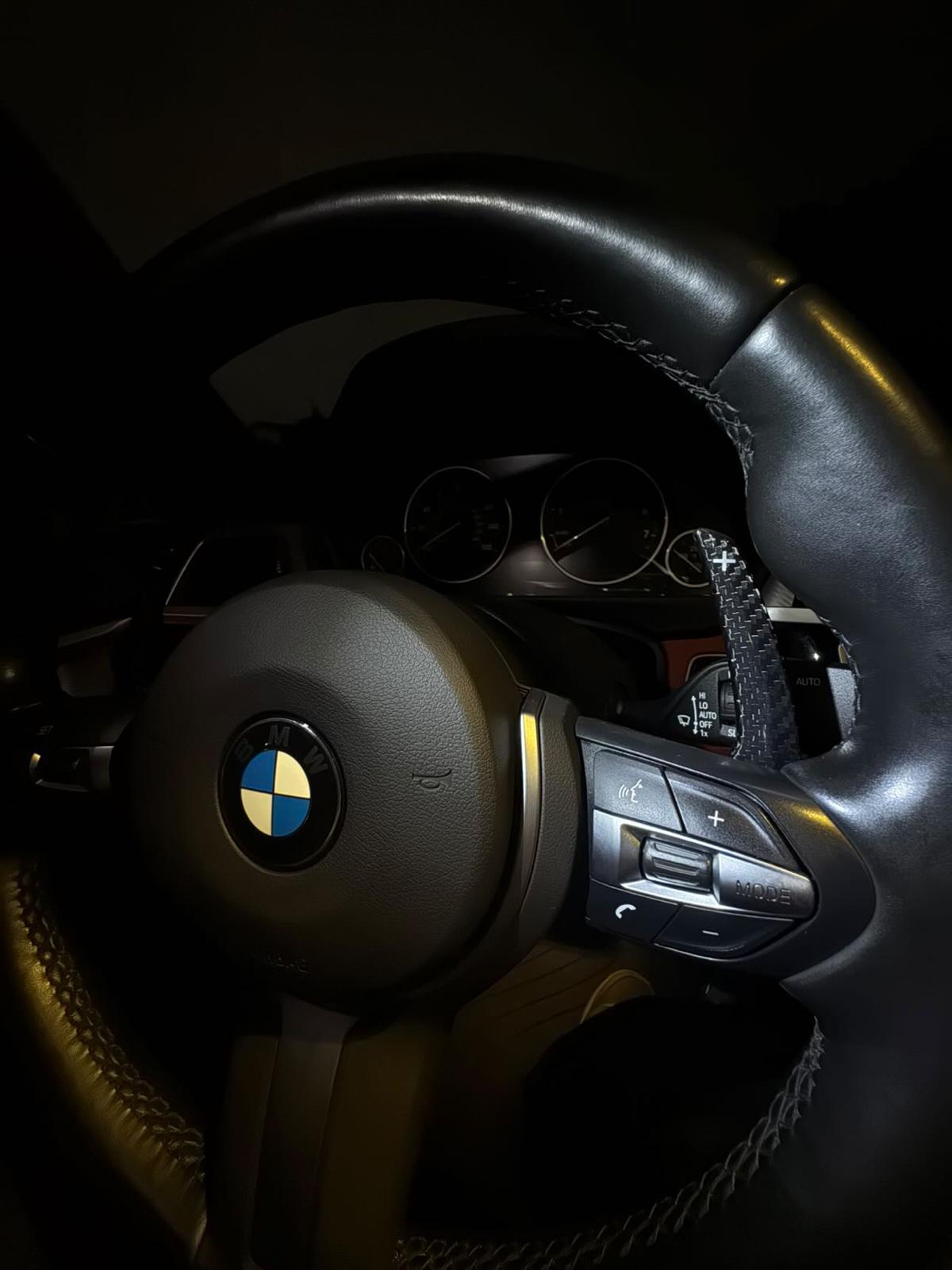 BMW Carbon Fiber Paddle Shifter F chassis